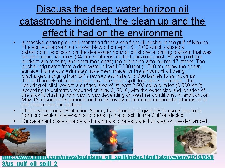 Discuss the deep water horizon oil catastrophe incident, the clean up and the effect