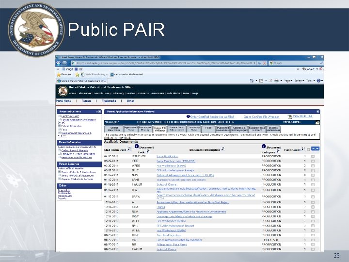 Public PAIR 29 Public PAIR 29