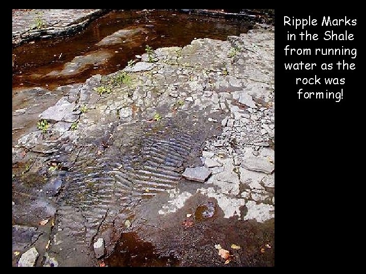 Ripple Marks in the Shale from running water as the rock was forming! 