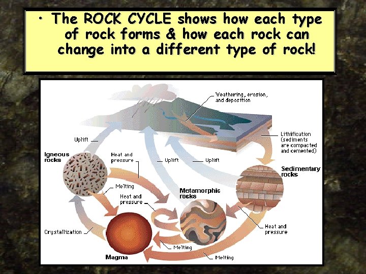  • The ROCK CYCLE shows how each type of rock forms & how