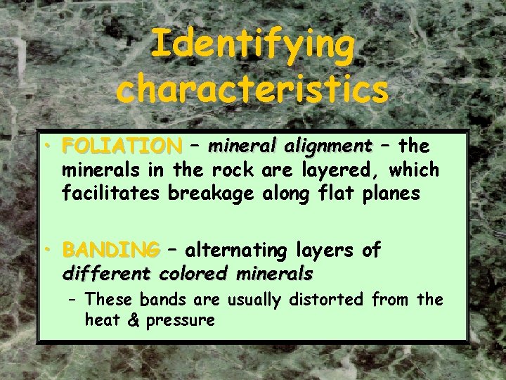 Identifying characteristics • FOLIATION – mineral alignment – the minerals in the rock are