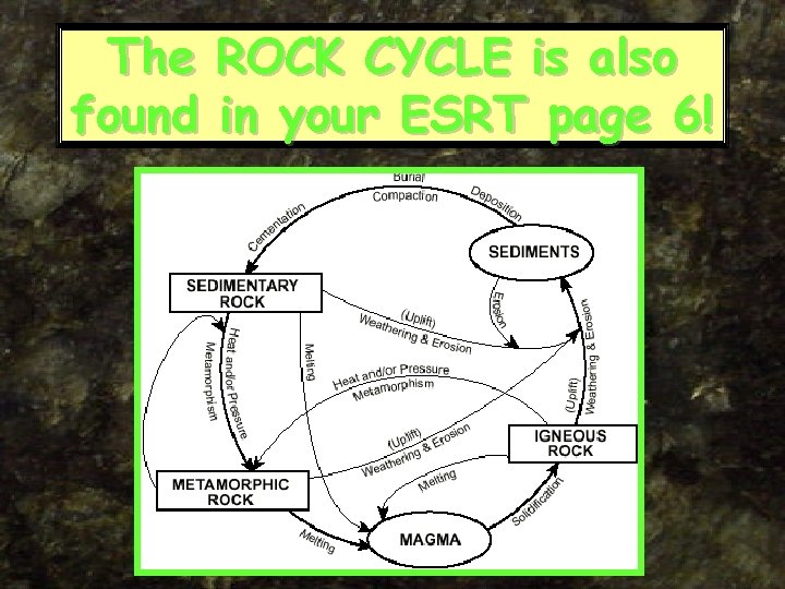 The found ROCK CYCLE is also in your ESRT page 6! 