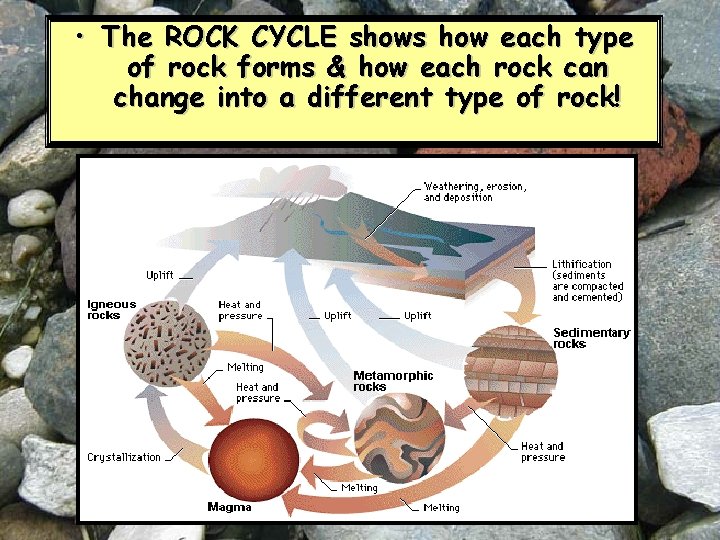  • The ROCK CYCLE shows how each type of rock forms & how