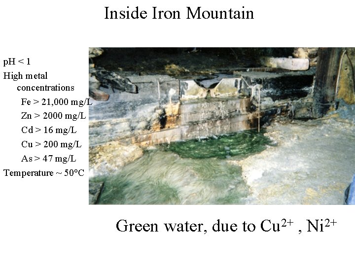 Inside Iron Mountain p. H < 1 High metal concentrations Fe > 21, 000 Inside Iron Mountain p. H < 1 High metal concentrations Fe > 21, 000