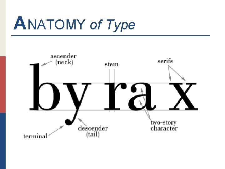 ANATOMY of Type 