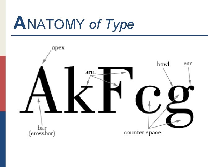 ANATOMY of Type 