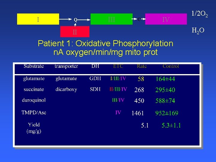 I Q III C IV II Patient 1: Oxidative Phosphorylation n. A oxygen/min/mg mito