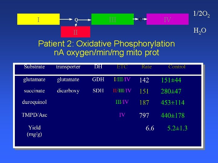 I Q III C IV II Patient 2: Oxidative Phosphorylation n. A oxygen/min/mg mito