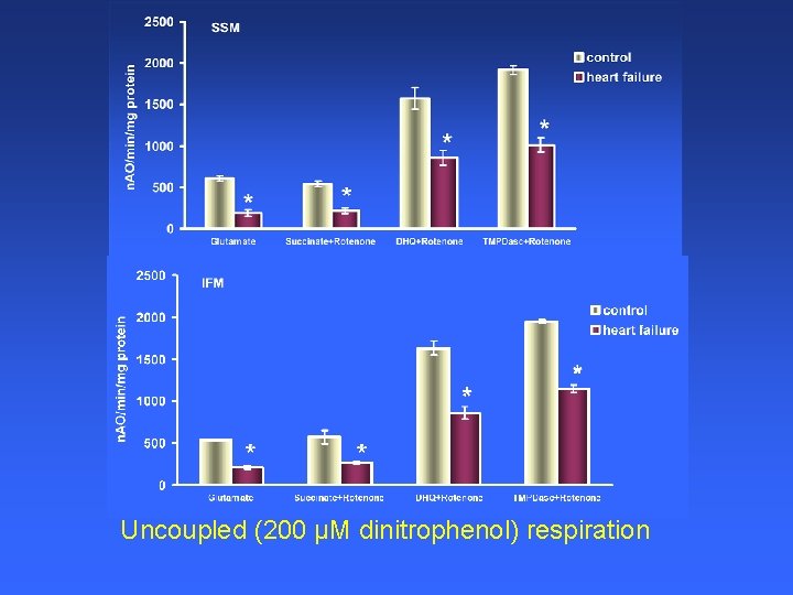 Uncoupled (200 µM dinitrophenol) respiration 
