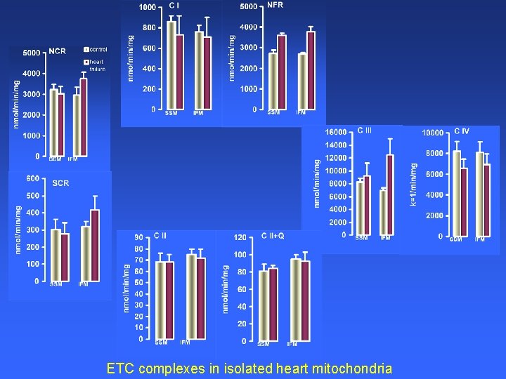 ETC complexes in isolated heart mitochondria 