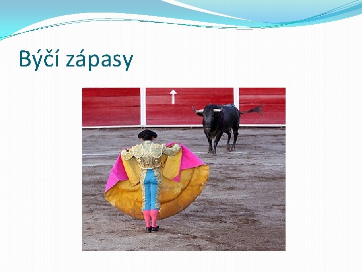 Býčí zápasy 