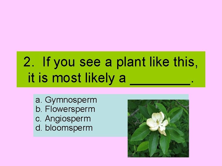 2. If you see a plant like this, it is most likely a ____.