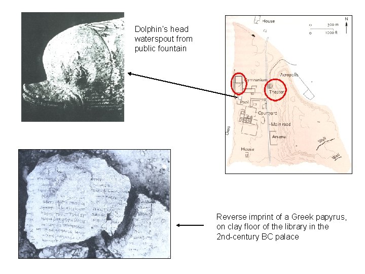 Dolphin’s head waterspout from public fountain Reverse imprint of a Greek papyrus, on clay