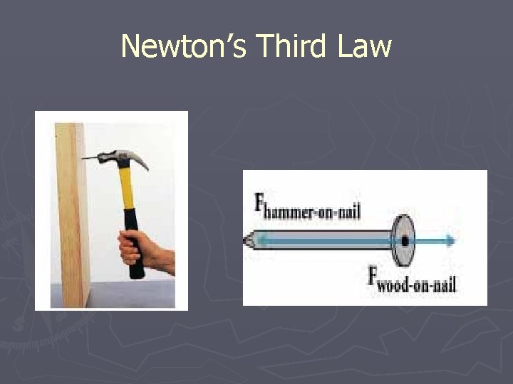 Newton’s Third Law 