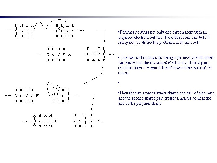  • Polymer now has not only one carbon atom with an unpaired electron,