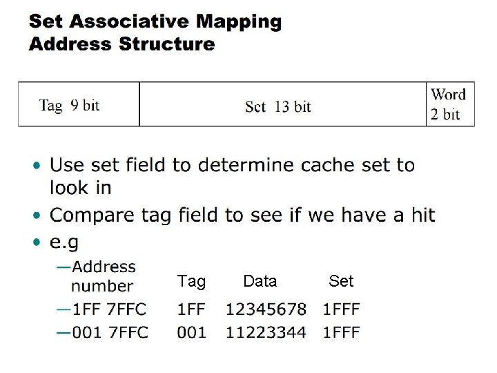 Tag Data Set 