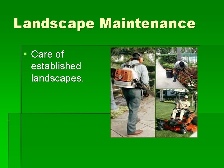Landscape Maintenance § Care of established landscapes. 