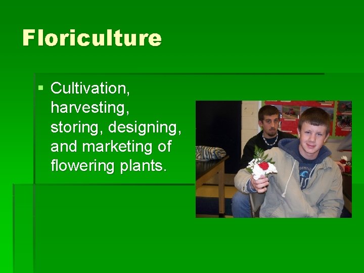 Floriculture § Cultivation, harvesting, storing, designing, and marketing of flowering plants. 