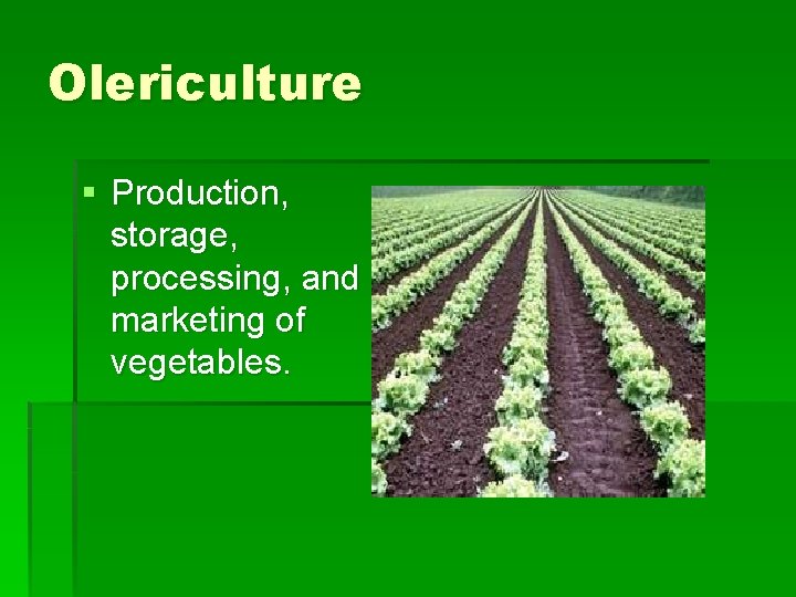 Olericulture § Production, storage, processing, and marketing of vegetables. 