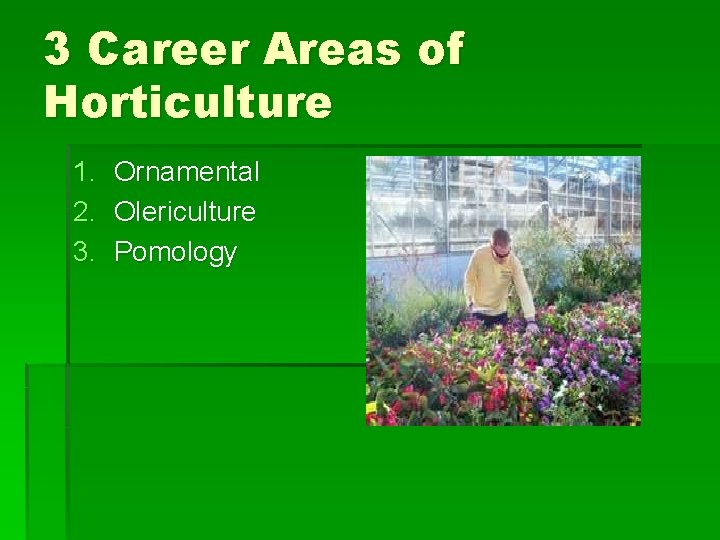 3 Career Areas of Horticulture 1. Ornamental 2. Olericulture 3. Pomology 