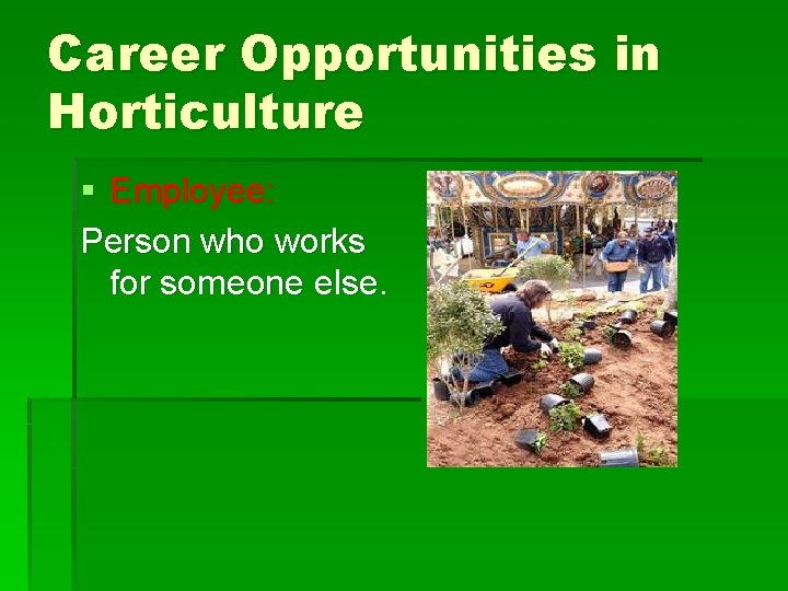 Career Opportunities in Horticulture § Employee: Person who works for someone else. 