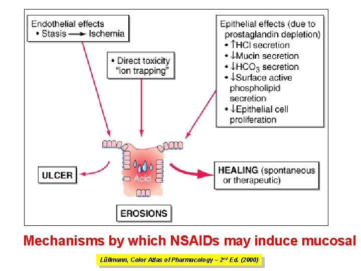 Mechanisms by which NSAIDs may induce mucosal i Lüllmann, Color Atlas of Pharmacology –