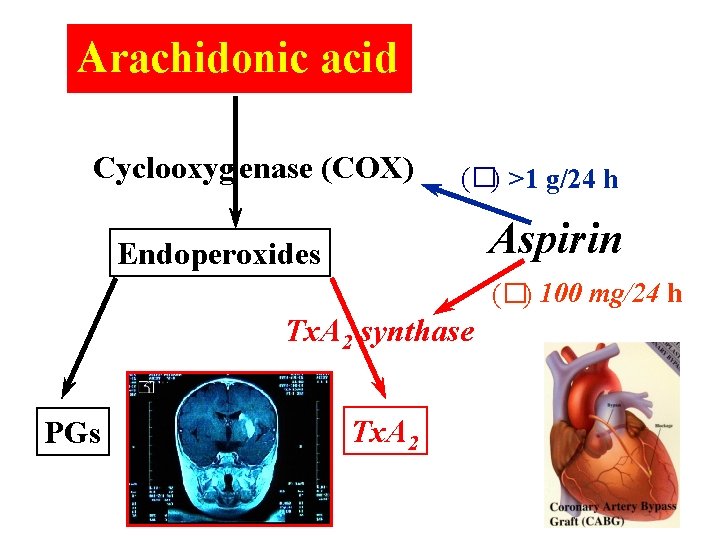 Arachidonic acid Cyclooxyg enase (COX) (�) >1 g/24 h Aspirin Endoperoxides (�) 100 mg/24