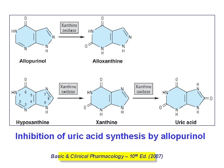 Inhibition of uric acid synthesis by allopurinol Basic & Clinical Pharmacology – 10 th