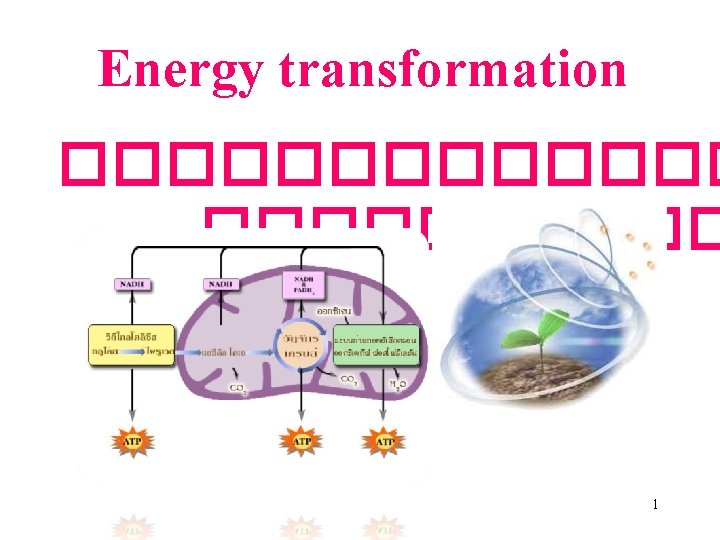 Energy transformation ������� 1 