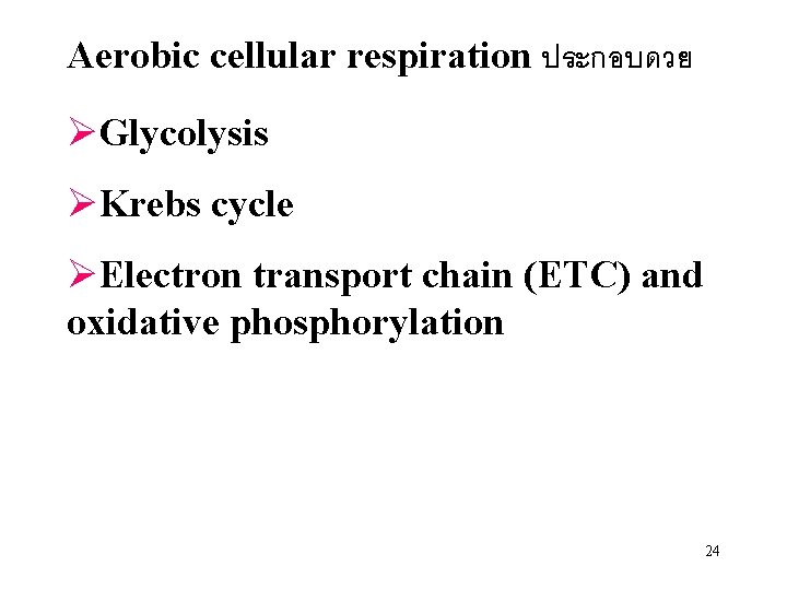 Aerobic cellular respiration ประกอบดวย ØGlycolysis ØKrebs cycle ØElectron transport chain (ETC) and oxidative phosphorylation