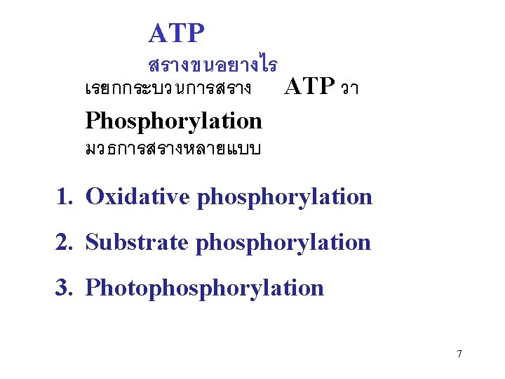 ATP สรางขนอยางไร เรยกกระบวนการสราง ATP วา Phosphorylation มวธการสรางหลายแบบ 1. Oxidative phosphorylation 2. Substrate phosphorylation 3.