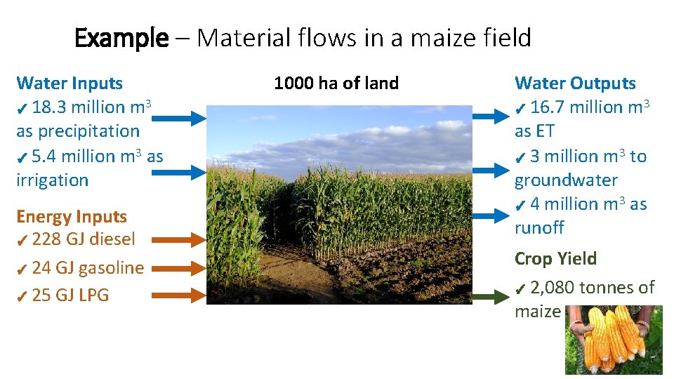 Example – Material flows in a maize field Water Inputs ✓ 18. 3 million