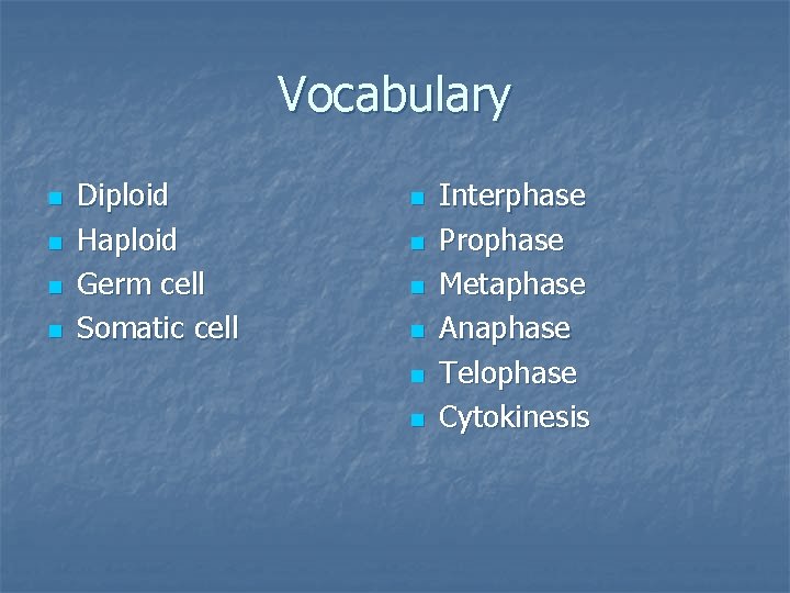 Vocabulary n n Diploid Haploid Germ cell Somatic cell n n n Interphase Prophase