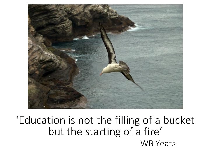 ‘Education is not the filling of a bucket but the starting of a fire’ ‘Education is not the filling of a bucket but the starting of a fire’
