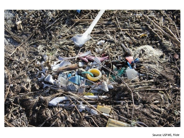 Source: USFWS, Flickr Source: USFWS, Flickr