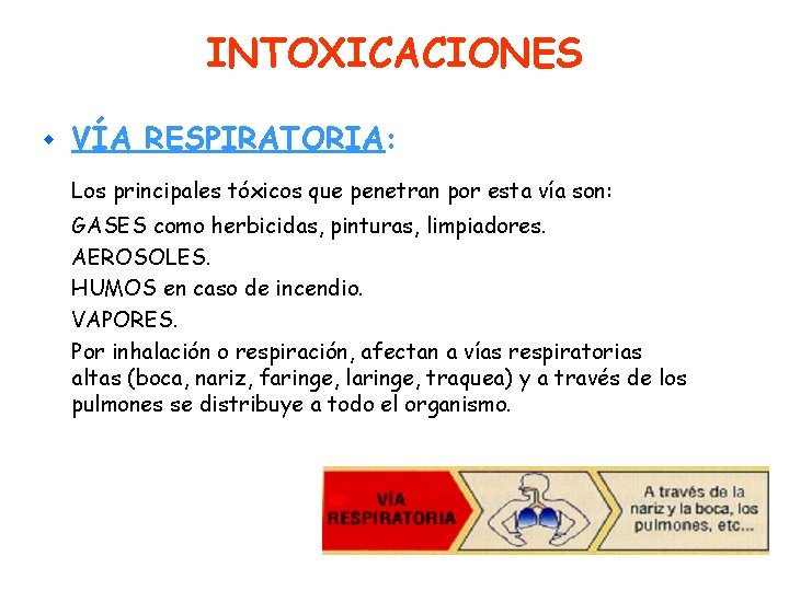 INTOXICACIONES w VÍA RESPIRATORIA: Los principales tóxicos que penetran por esta vía son: GASES