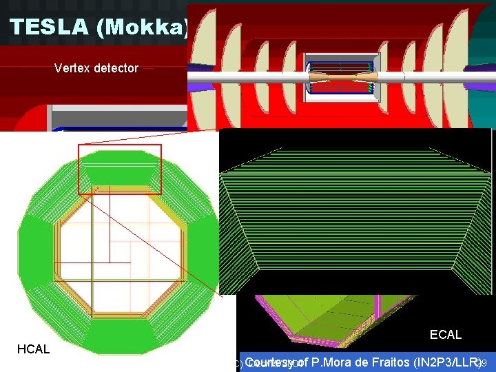 TESLA (Mokka) Vertex detector Silicon tracker ECAL HCAL of Geant 4 in further HEP