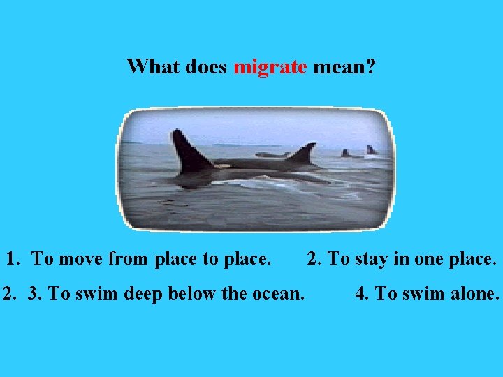 What does migrate mean? 1. To move from place to place. 2. 3. To