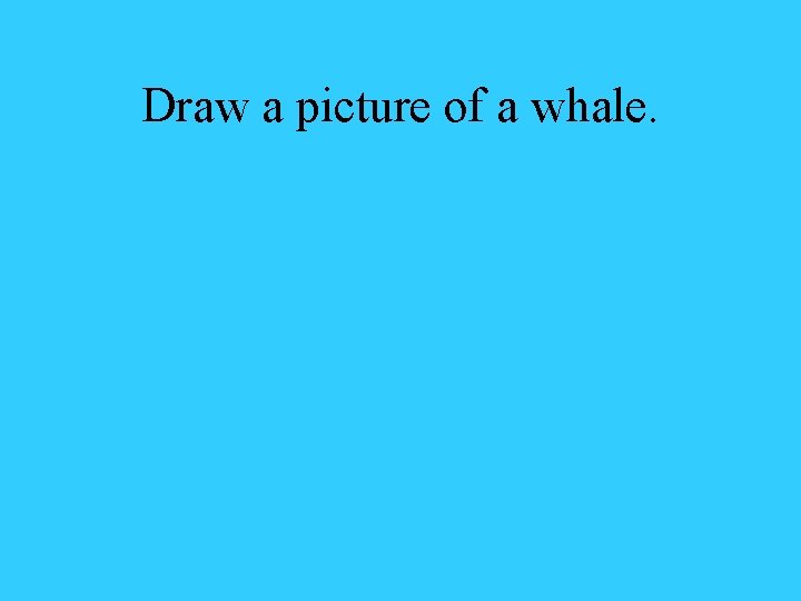 Draw a picture of a whale. 