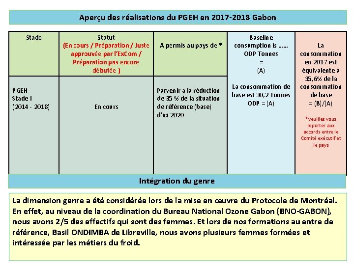 Aperçu des réalisations du PGEH en 2017 -2018 Gabon Stade PGEH Stade I (2014