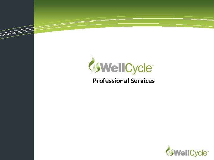 Professional Services 