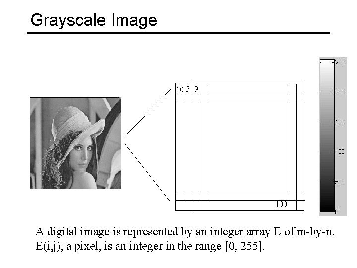 Grayscale Image 10 5 9 100 A digital image is represented by an integer