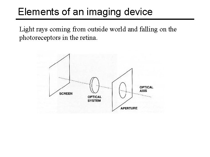 Elements of an imaging device Light rays coming from outside world and falling on