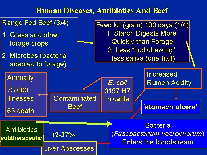 Human Diseases, Antibiotics And Beef Range Fed Beef (3/4) 1. Grass and other forage