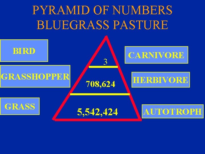 PYRAMID OF NUMBERS BLUEGRASS PASTURE BIRD 3 GRASSHOPPER GRASS 708, 624 5, 542, 424