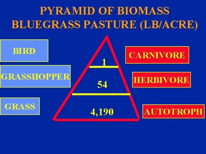 PYRAMID OF BIOMASS BLUEGRASS PASTURE (LB/ACRE) BIRD 1 GRASSHOPPER GRASS 54 4, 190 CARNIVORE