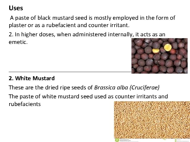 Uses A paste of black mustard seed is mostly employed in the form of Uses A paste of black mustard seed is mostly employed in the form of