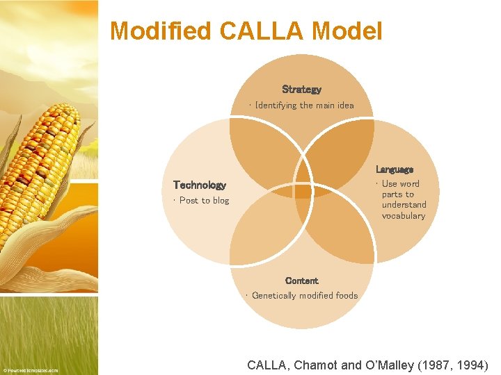 Modified CALLA Model Strategy • Identifying the main idea Language • Use word parts Modified CALLA Model Strategy • Identifying the main idea Language • Use word parts