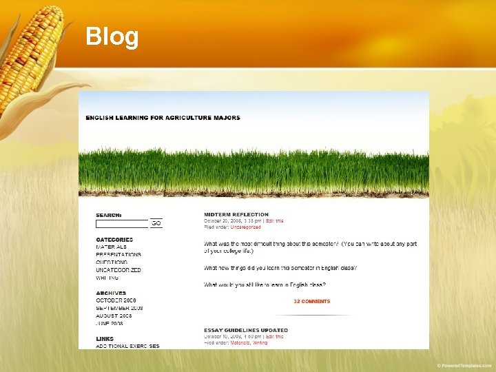 Blog Blog