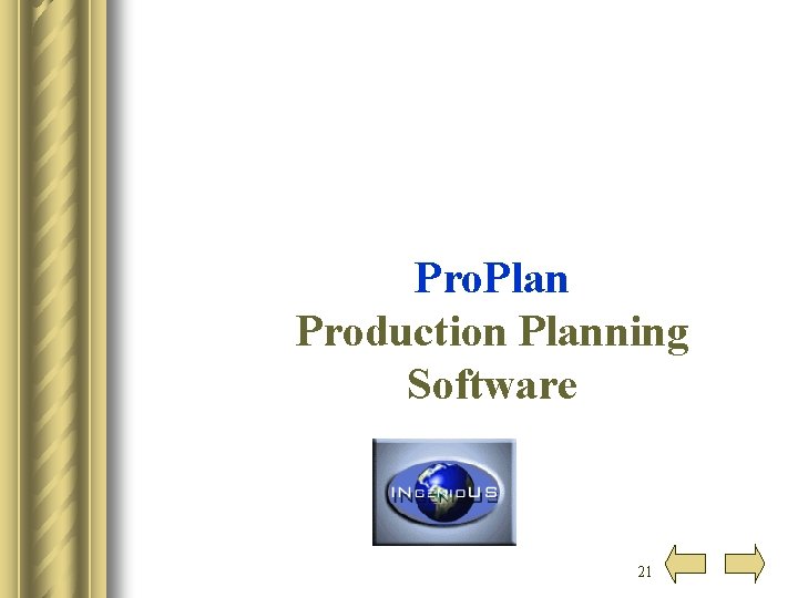 Pro. Plan Production Planning Software 21 